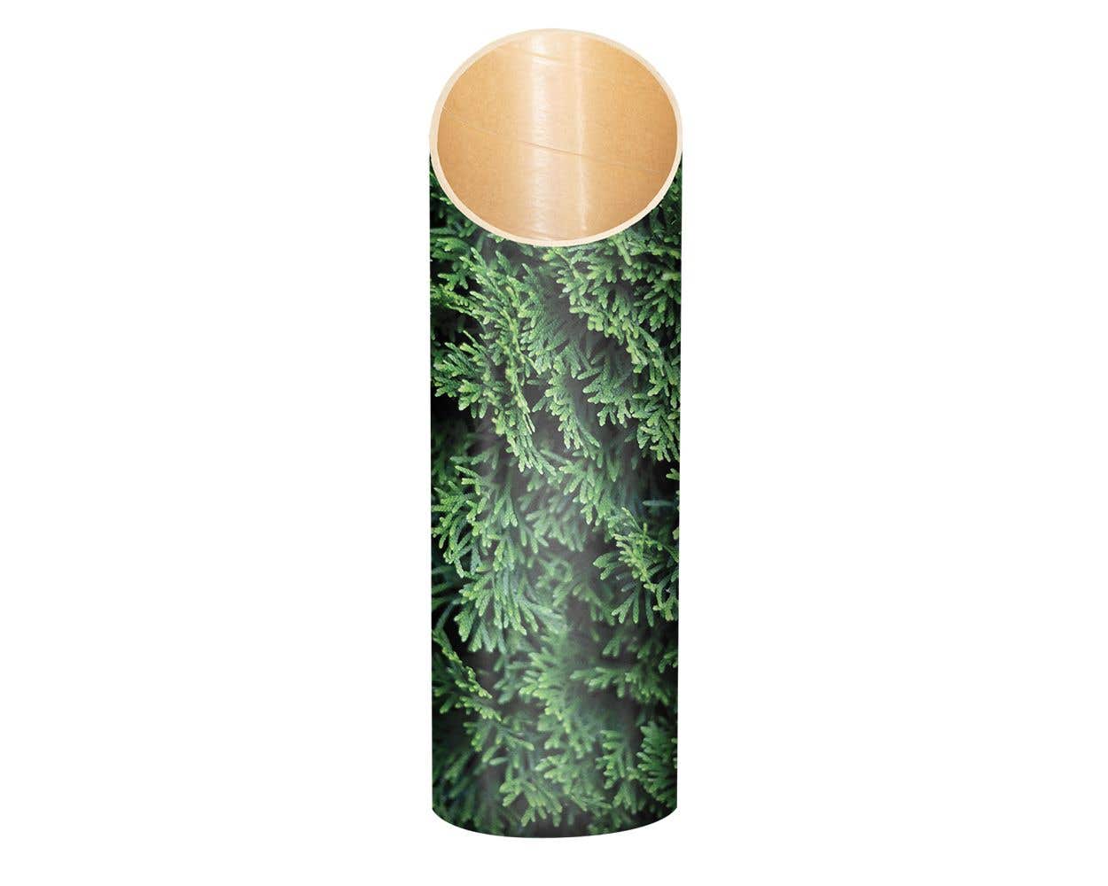 mache_cedar_front_1000