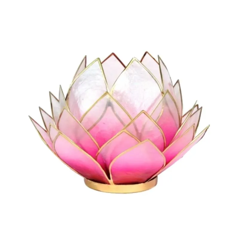 12041