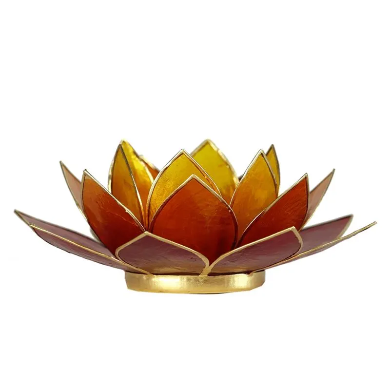 12076