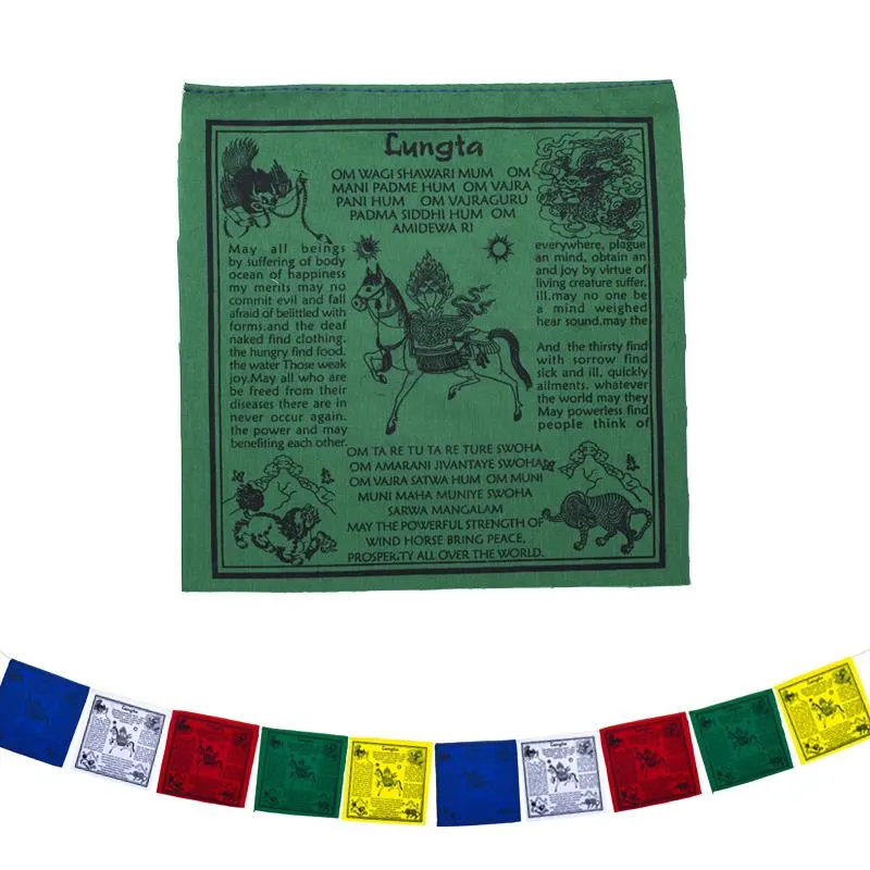 16905
