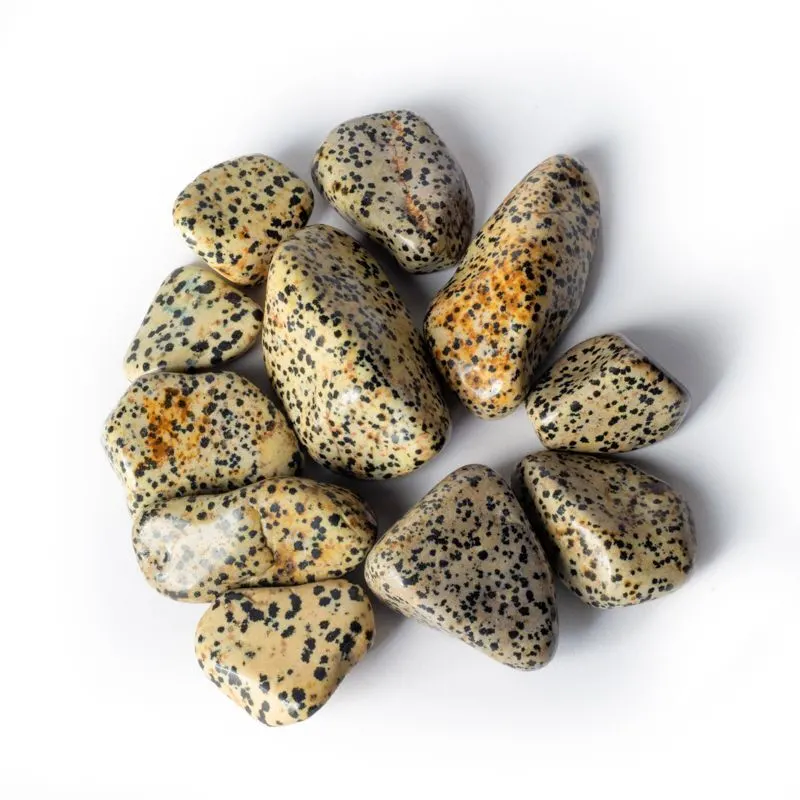 7738
